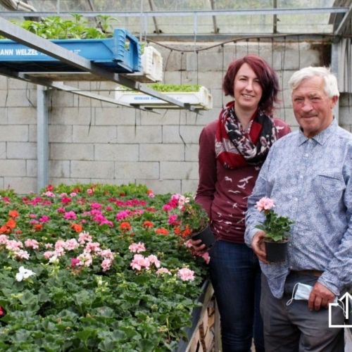 L'Horticulture, une Histoire de famille chez les Litzenburger