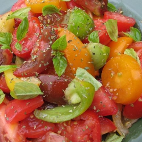Les plants de tomates sont prêts!!! Les plants de tomates sont prêts!!!