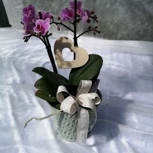 Orchidée mini fleur avec cache pot métal