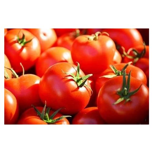 Tomate Brooklyn