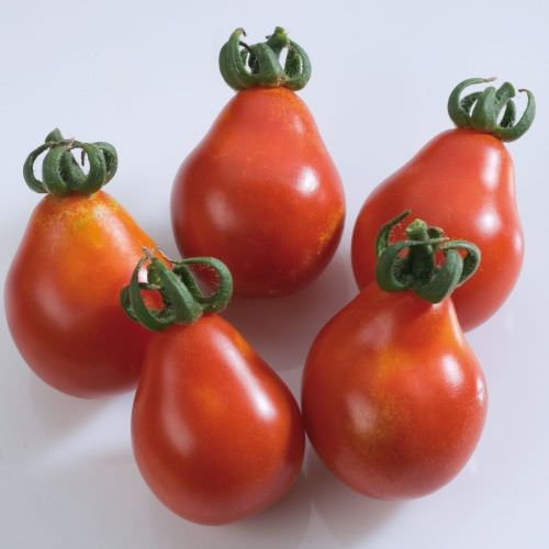 Tomate Poire Rouge