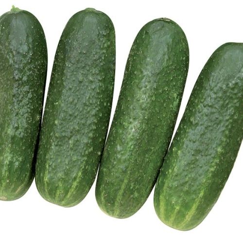 Cornichon