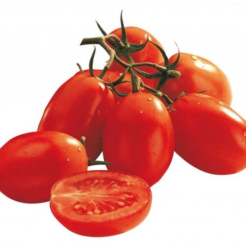 Tomate Sixtina F1