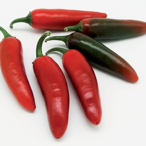 Piment Japo