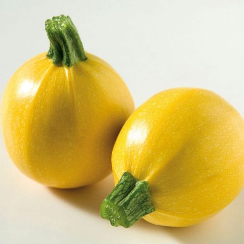 Courgette Luneor F1