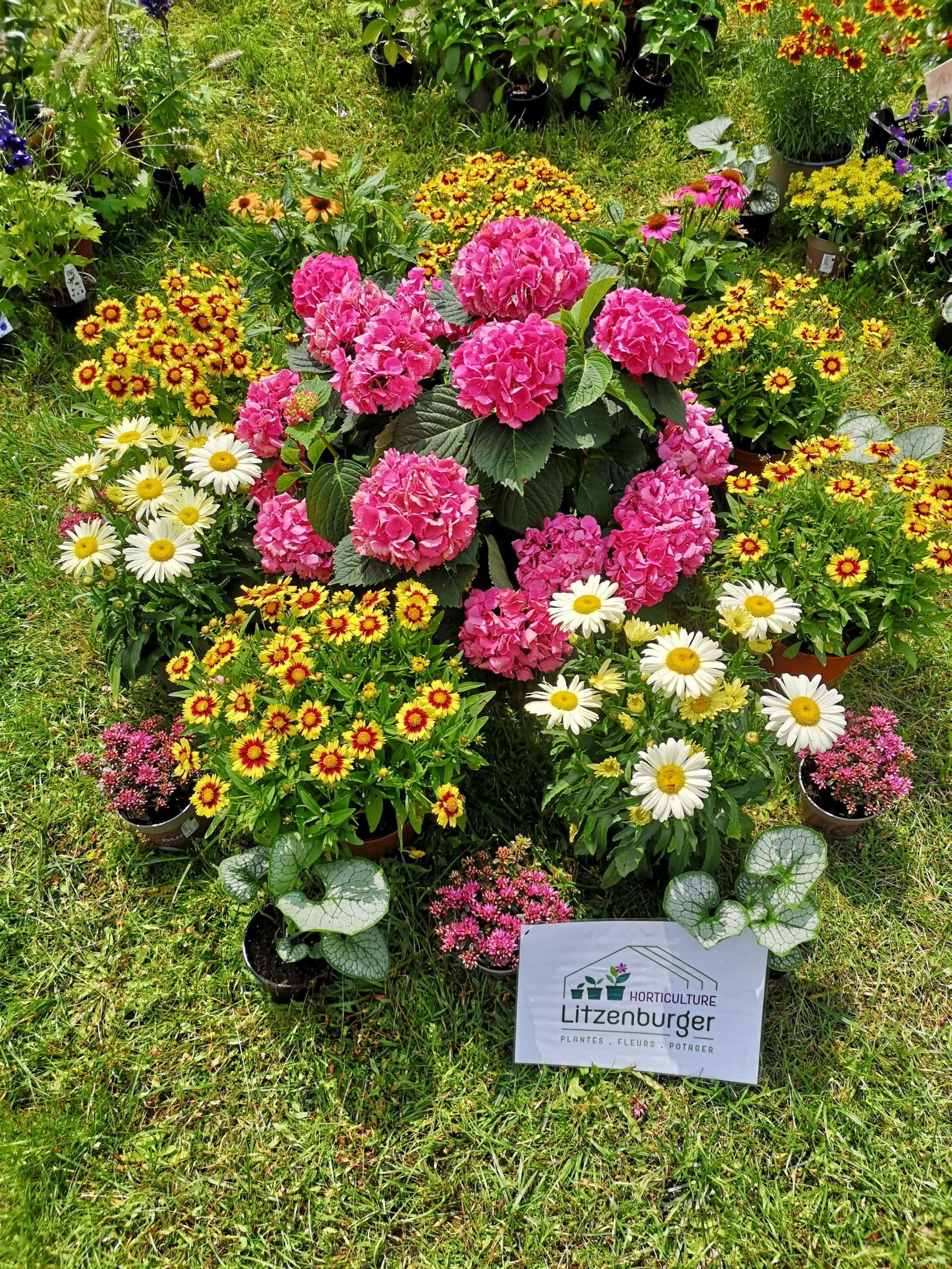 Horticulture Litzenburger